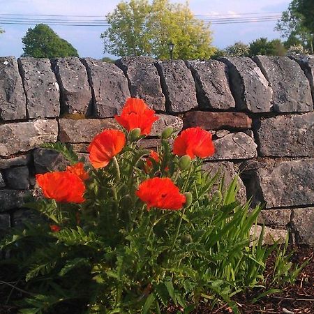 Ashfield House B&B Cong Dış mekan fotoğraf