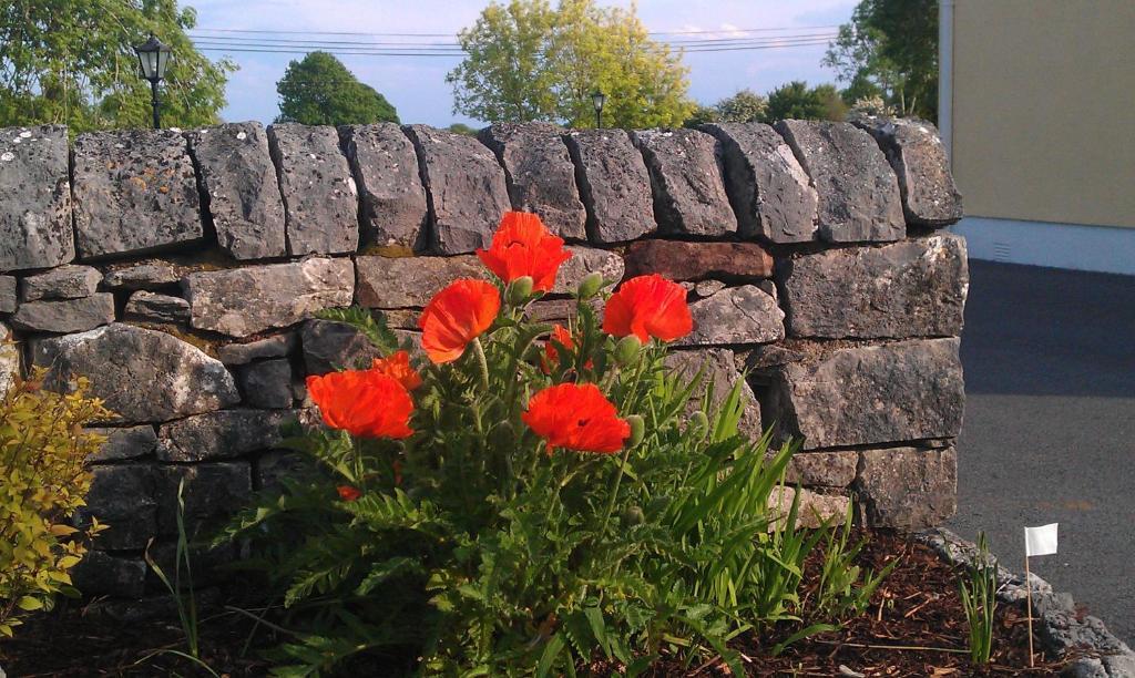 Ashfield House B&B Cong Dış mekan fotoğraf